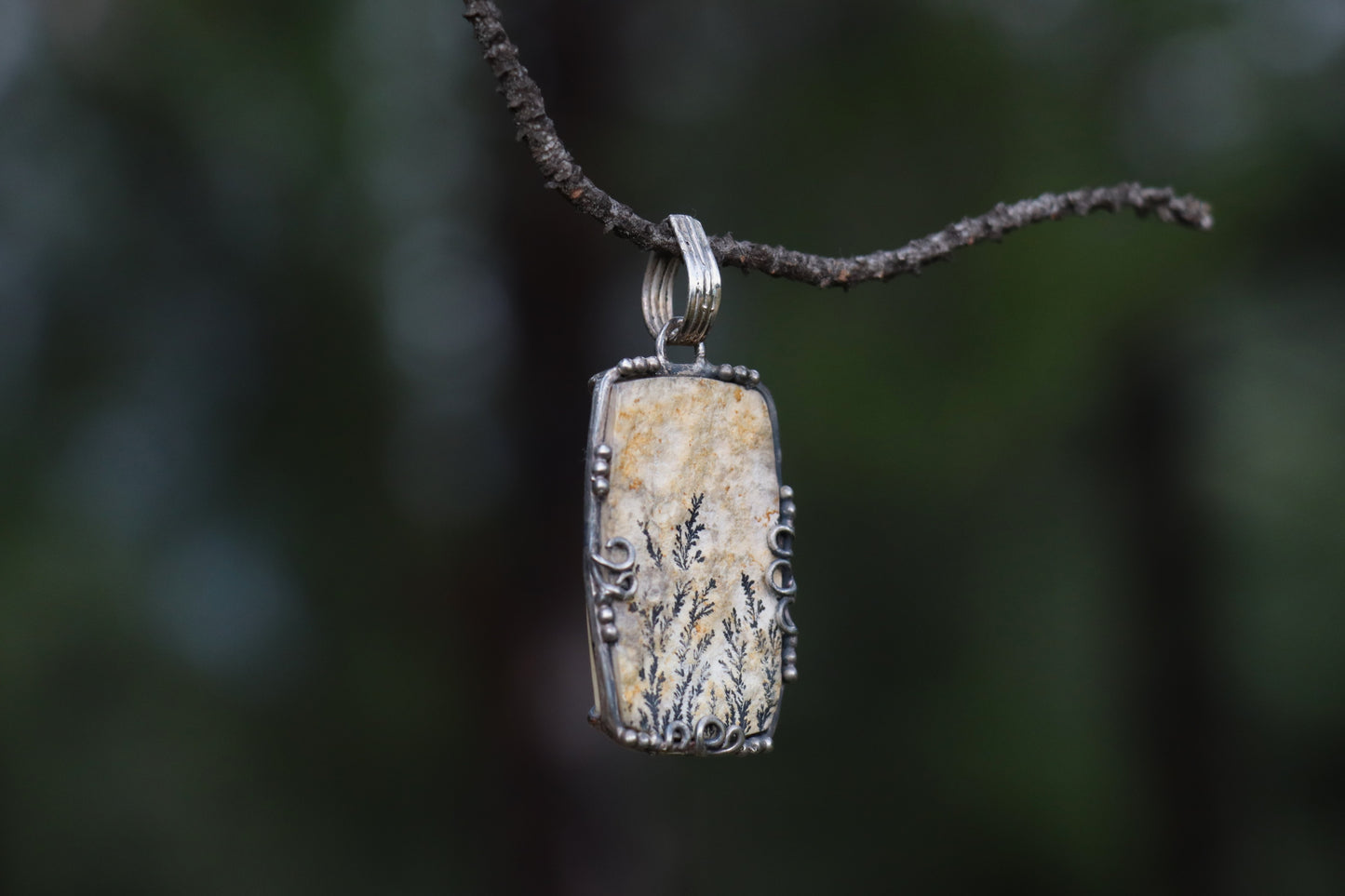 Close up of Leaf Jasper Crystal showing fossilized patterns. Earth Energy for Emotional Resilience.