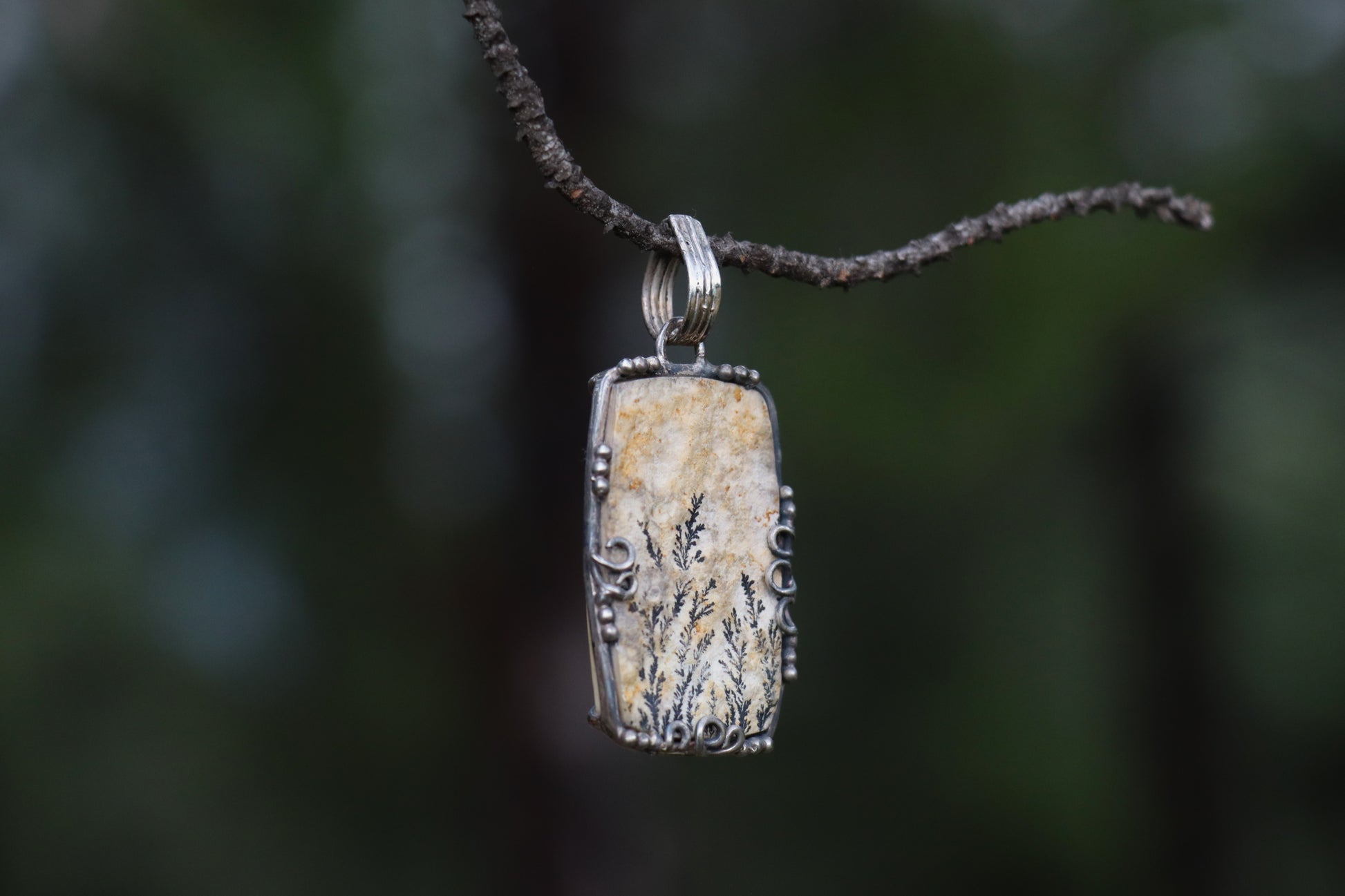 Close up of Leaf Jasper Crystal showing fossilized patterns. Earth Energy for Emotional Resilience.