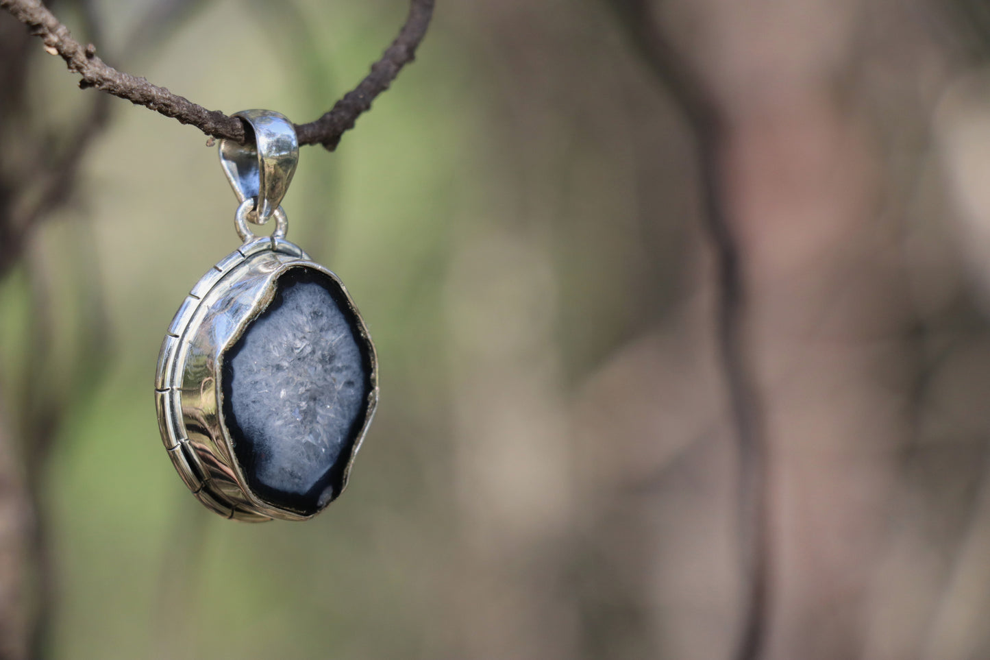 Raw coconut geode pendant with druzy quartz interior, photographed on a cord among tree branches for natural jewelry styling.