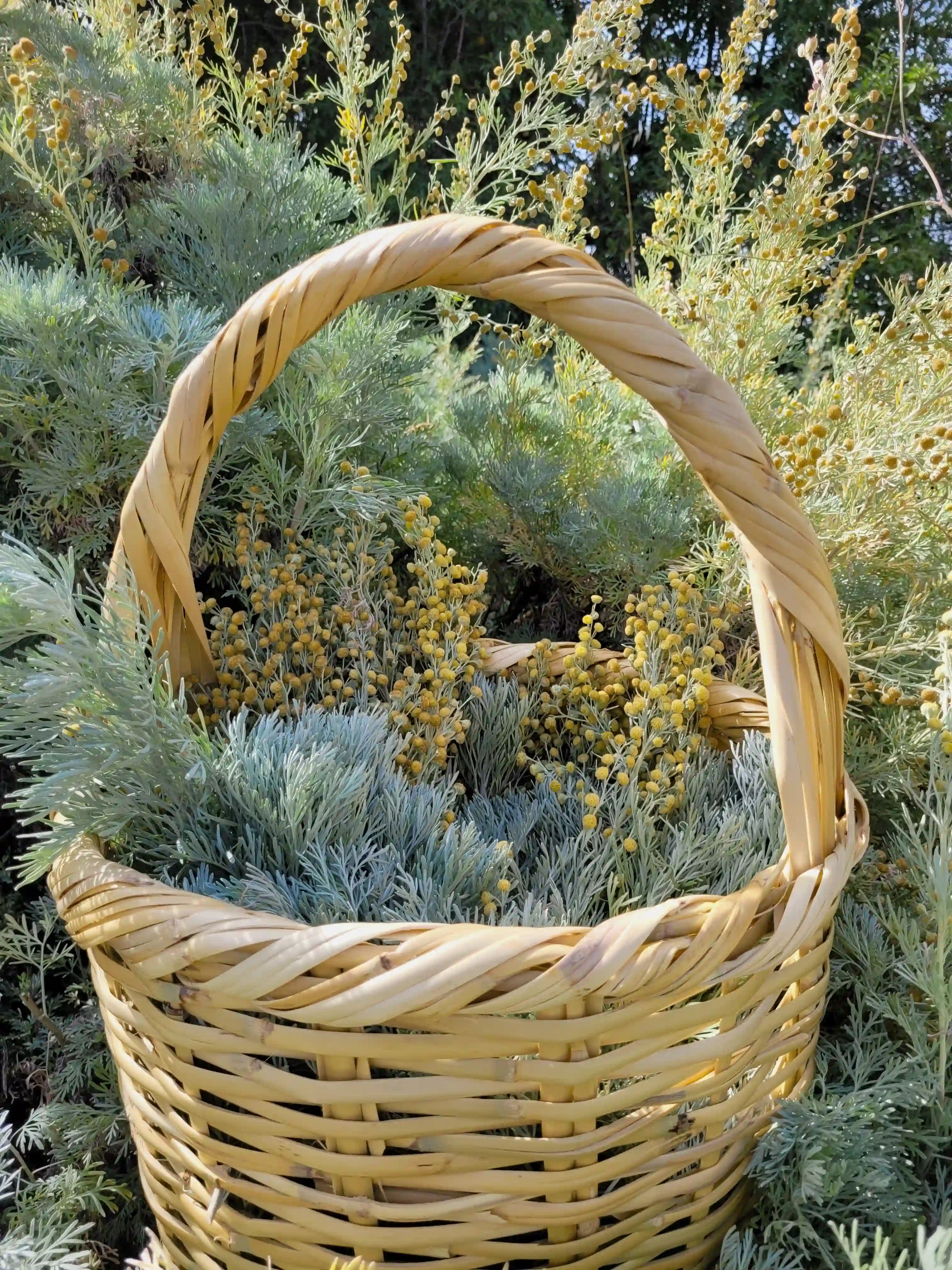 A woven basket filled with freshly harvested Wormwood and yellow flowers, capturing the natural essence of Drabarni Medicine and the inspiration behind our Earthy jewelry.