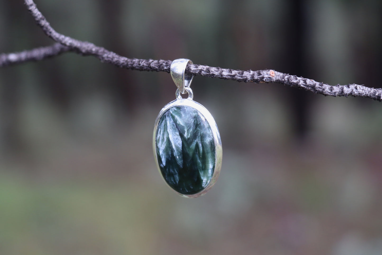 Seraphinite pendant in 925 sterling silver hanging from a branch — deep green gemstone with feather-like silver patterns, photographed outdoors. Natural Seraphinite jewelry for healing, balance, and inner alignment.
